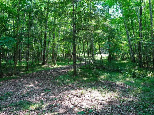 Lot 6 HWY 17, Phelps, WI 54554