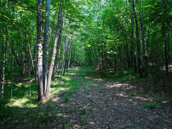 Lot 6 HWY 17