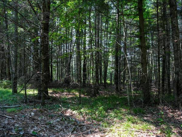 Lot 6 HWY 17, Phelps, WI 54554