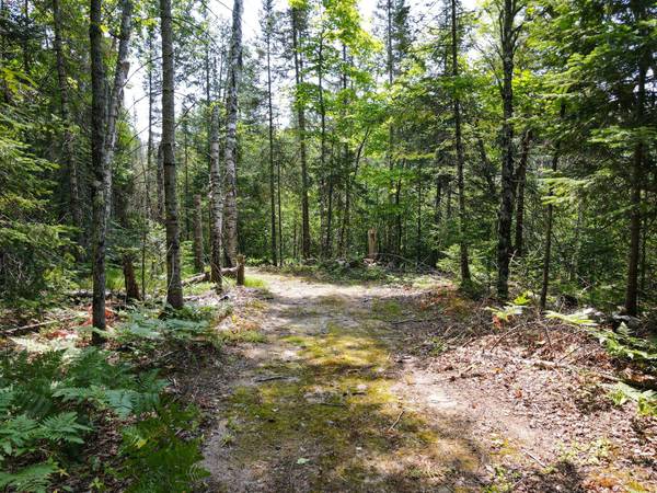 Lot 7 HUNTERS RIDGE RD, Phelps, WI 54554