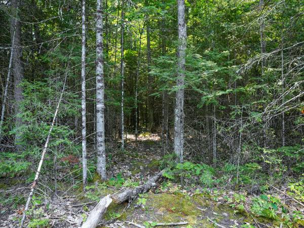 Lot 8 HUNTERS RIDGE RD, Phelps, WI 54554