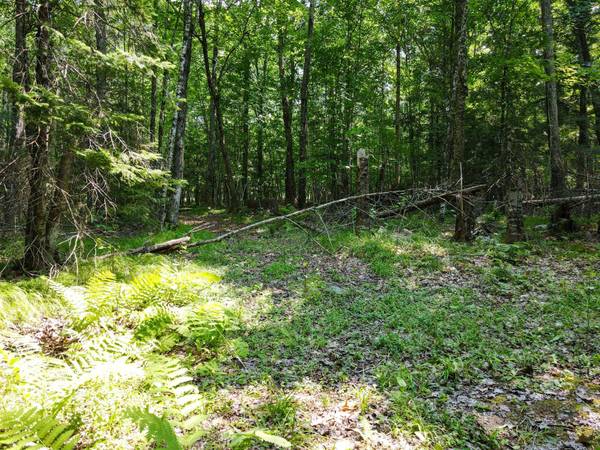 Lot 6 HWY 17, Phelps, WI 54554