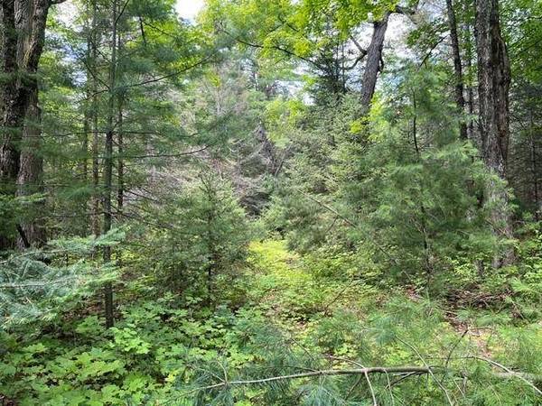 ON CTH B, Land O Lakes, WI 54540