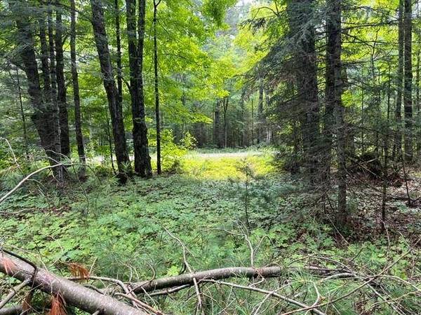 ON CTH B, Land O Lakes, WI 54540