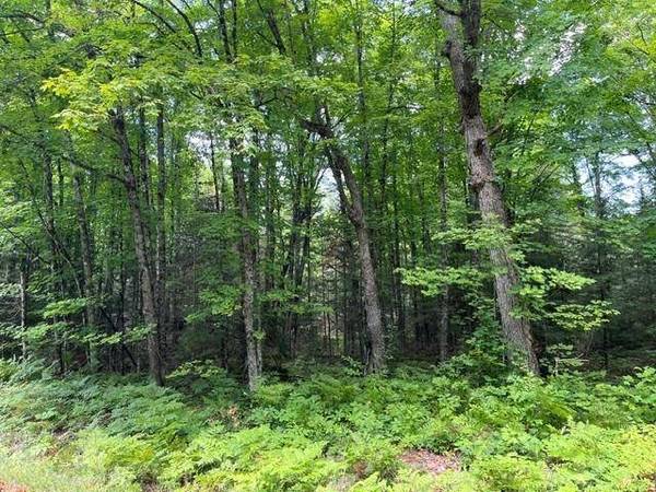ON CTH B, Land O Lakes, WI 54540