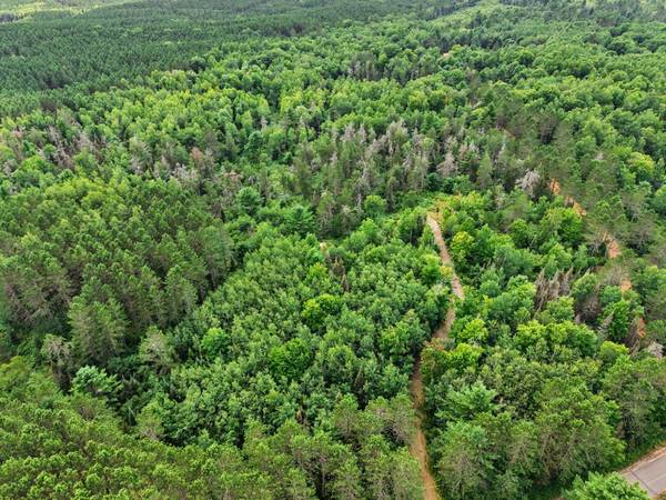 ON RIVER RD #25-Acres, Eagle River, WI 54521