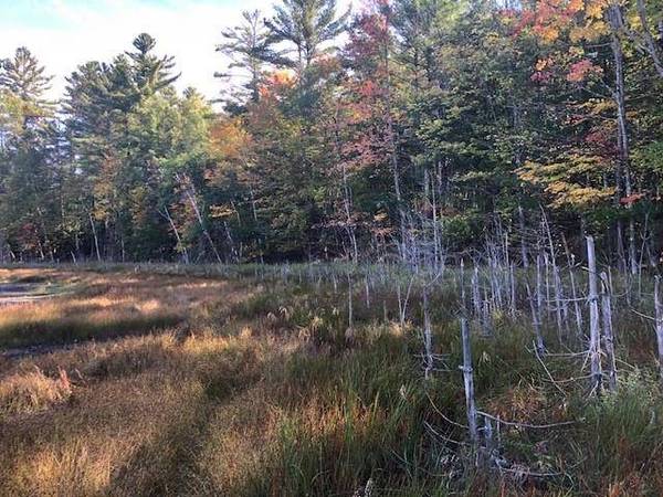 Lot 10 PATRICE PINES LN, Minocqua, WI 54548