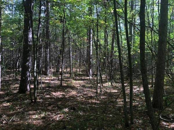 Lot 10 PATRICE PINES LN, Minocqua, WI 54548