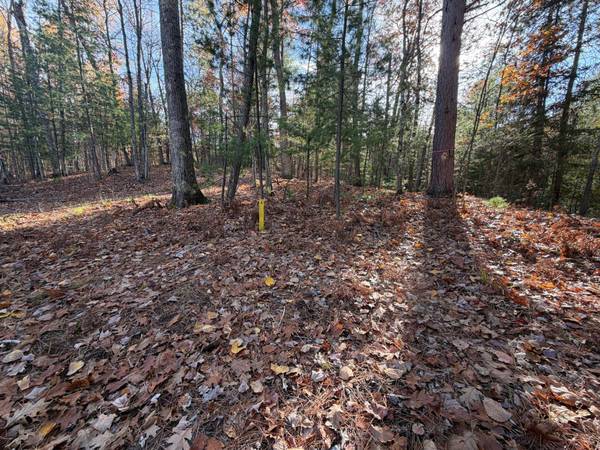 1.58 ac MADELINE LN, Eagle River, WI 54521