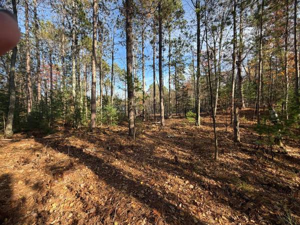 1.58 ac MADELINE LN, Eagle River, WI 54521