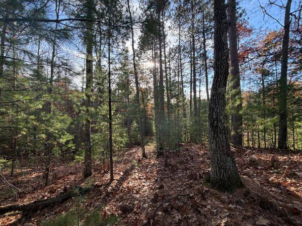 1.58 ac MADELINE LN, Eagle River, WI 54521