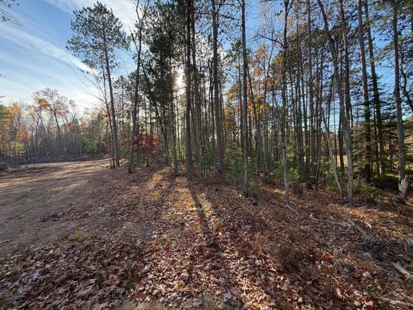 1.58 ac MADELINE LN