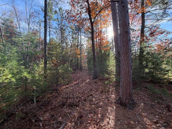 1.58 ac MADELINE LN, Eagle River, WI 54521