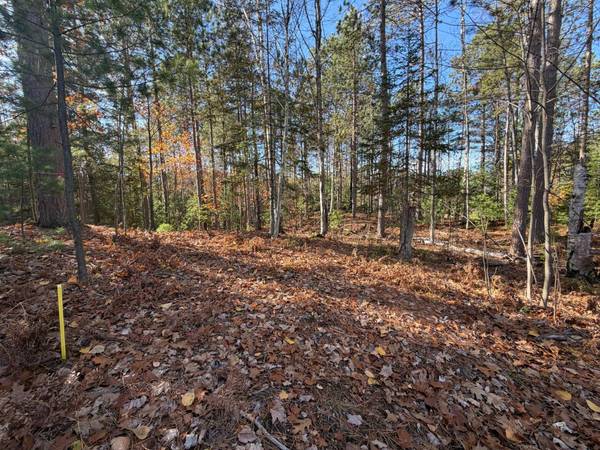 1.58 ac MADELINE LN, Eagle River, WI 54521