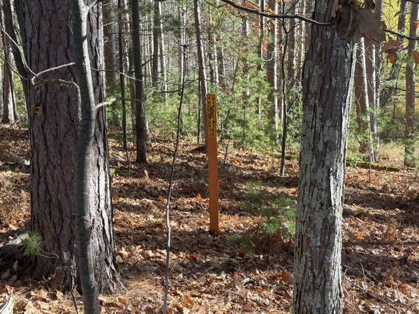 1.61 ac MADELINE LN, Eagle River, WI 54521