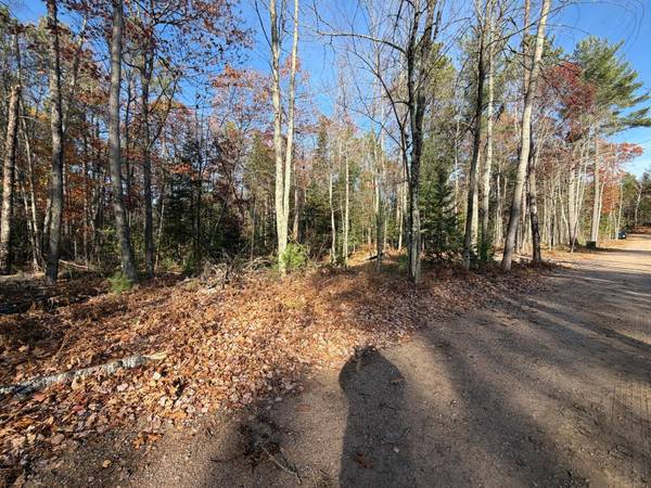 1.51 ac MADELINE LN, Eagle River, WI 54521