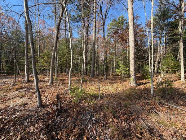 1.51 ac MADELINE LN, Eagle River, WI 54521