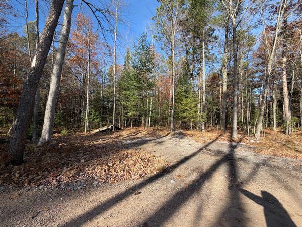 1.51 ac MADELINE LN, Eagle River, WI 54521