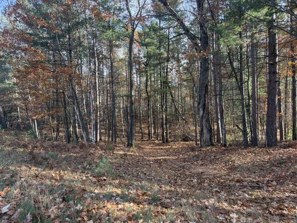 1.61 ac MADELINE LN, Eagle River, WI 54521