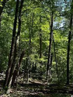 Lot 38 & 39 Sunny Side Lane, Wisconsin Dells, WI 53965