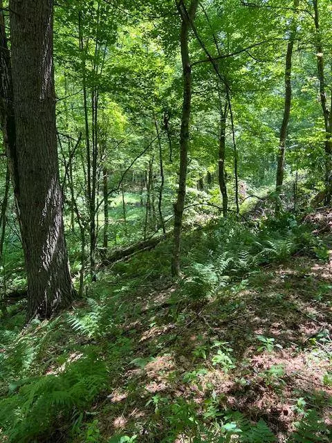 Lot 38 & 39 Sunny Side Lane, Wisconsin Dells, WI 53965