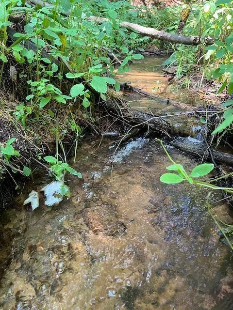 L39 W Sunny Side, Wisconsin Dells, WI 53965