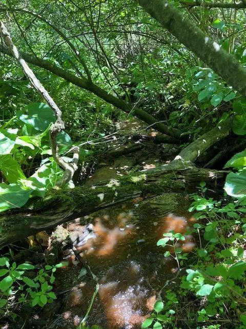 L39 W Sunny Side, Wisconsin Dells, WI 53965