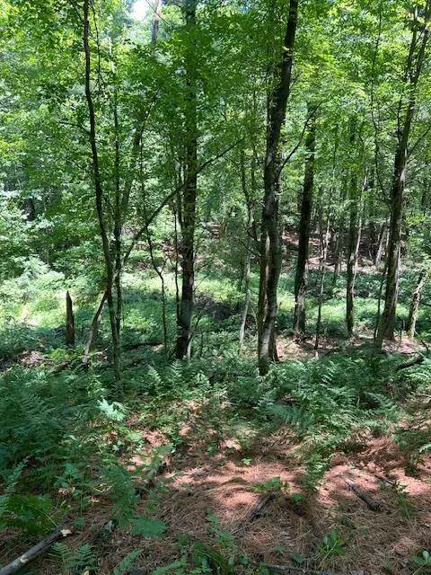 Lot 38 & 39 Sunny Side Lane, Wisconsin Dells, WI 53965