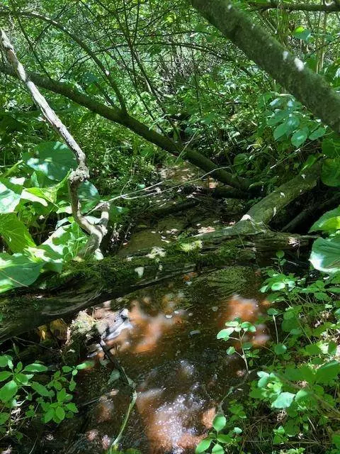 L39 W Sunny Side, Wisconsin Dells, WI 53965