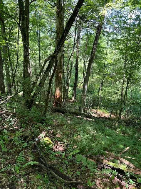 Lot 38 & 39 Sunny Side Lane, Wisconsin Dells, WI 53965