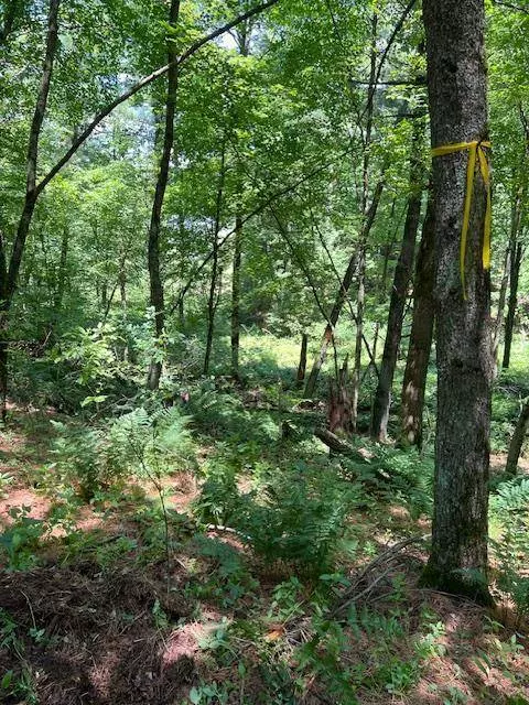 L39 W Sunny Side, Wisconsin Dells, WI 53965