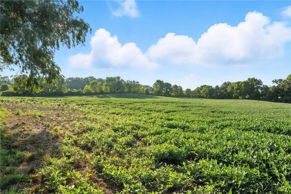 257 Halltown Rd, North Beaver Twp, PA 16157