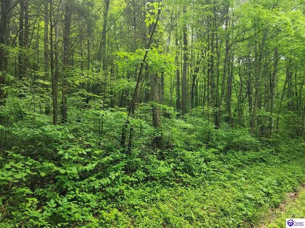 Tract 2 E G Nash Road, Roundhill, KY 42721