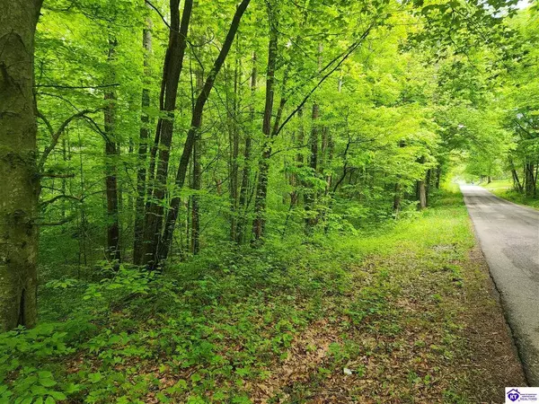 Tract 1 E G Nash Road, Roundhill, KY 42721