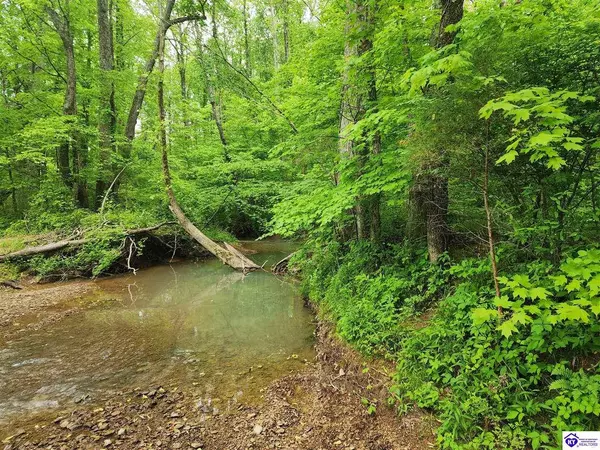 Tract 1 E G Nash Road, Roundhill, KY 42721