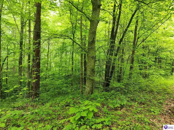 Tract 1 E G Nash Road, Roundhill, KY 42721