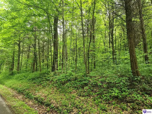 Tract 2 E G Nash Road, Roundhill, KY 42721