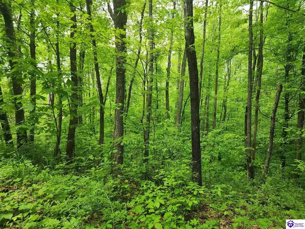 Tract 1 E G Nash Road, Roundhill, KY 42721