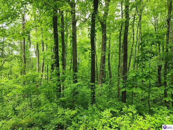 Tract 2 E G Nash Road, Roundhill, KY 42721