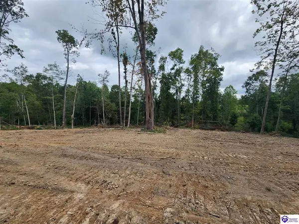 Tract 1 Leitchfield Road, Cecilia, KY 42724