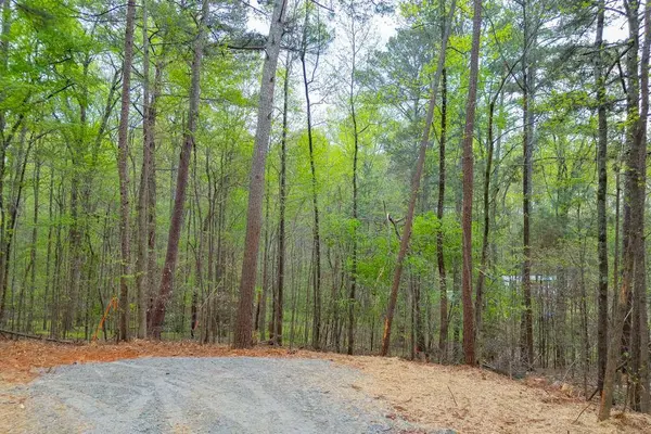 4 Majors RD, Cumming, GA 30041