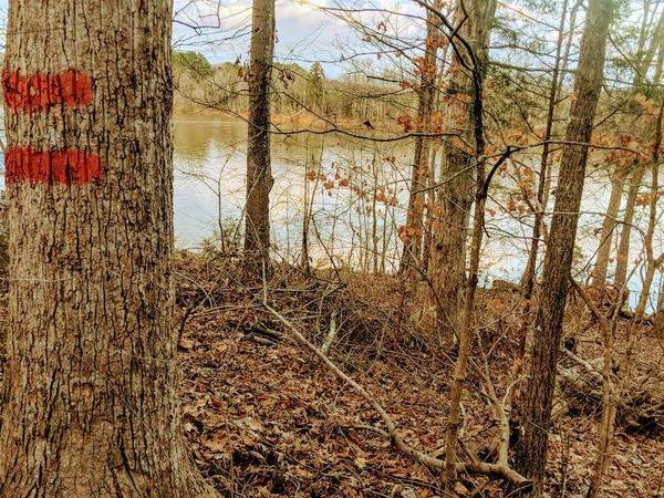 Olde Forest Road, Clarksville, VA 23927