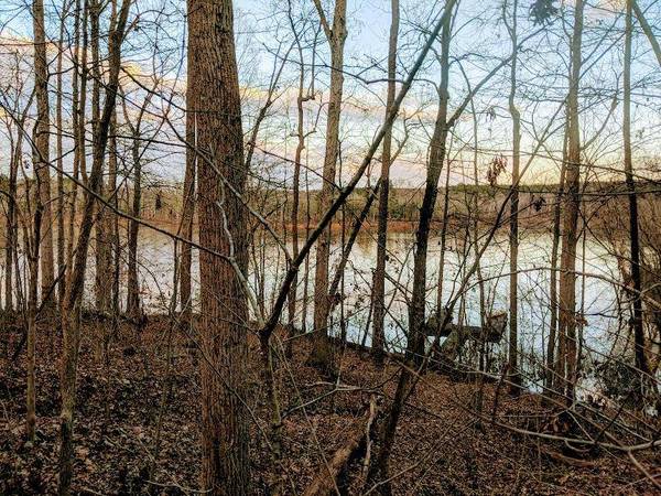 Olde Forest Road, Clarksville, VA 23927