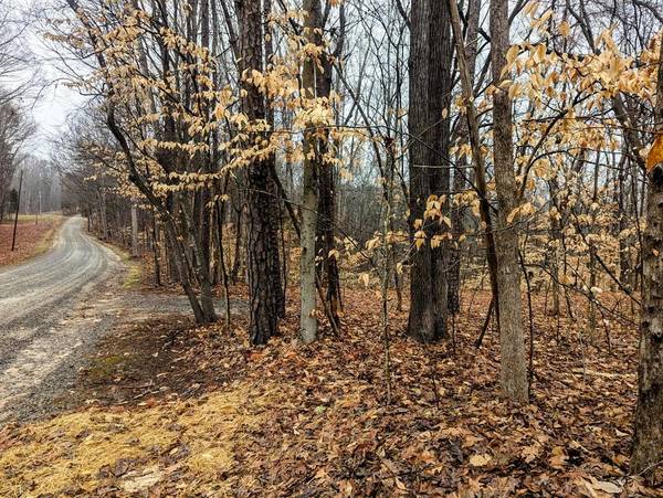 Roanoke Drive, Clarksville, VA 23927