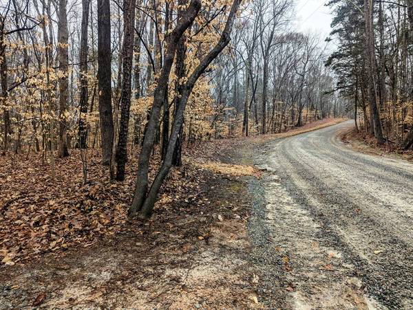 Roanoke Drive, Clarksville, VA 23927