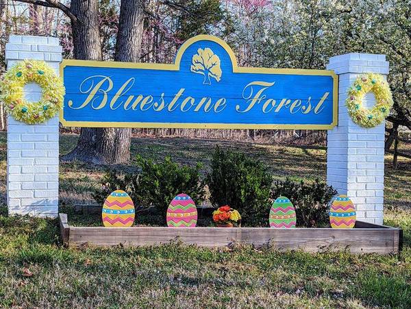 Olde Forest Road, Clarksville, VA 23927