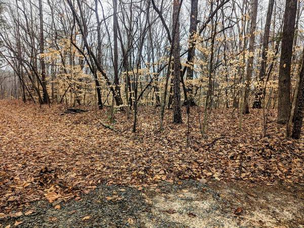 Roanoke Drive, Clarksville, VA 23927