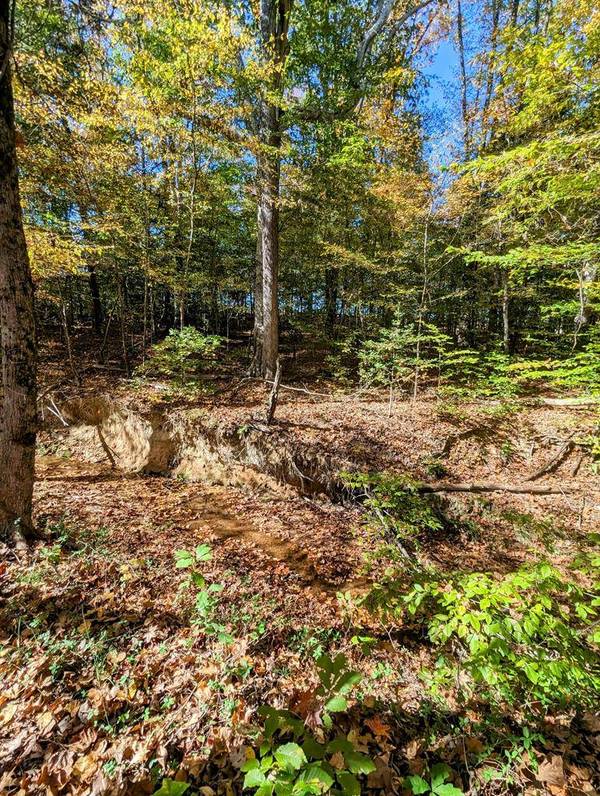 Lot 16 Grace Stone Drive, Clarksville, VA 23927