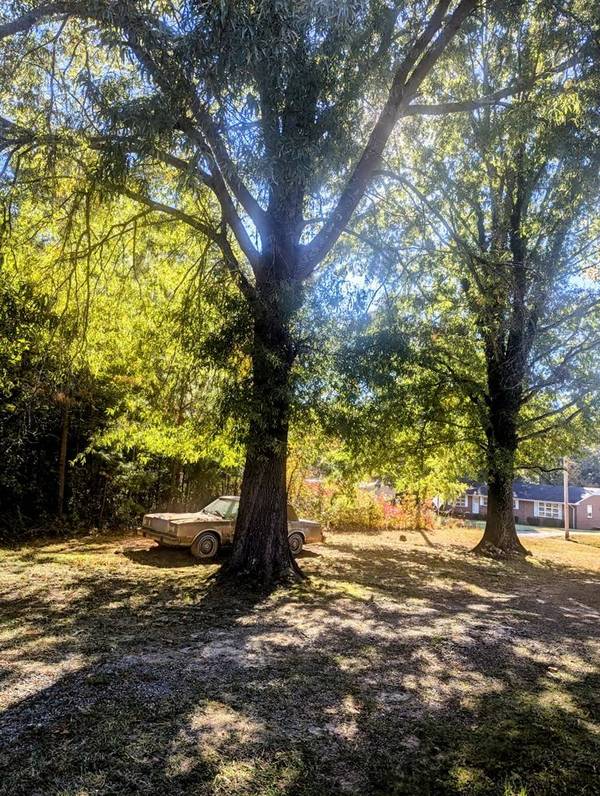 400 Skipwith Road, Boydton, VA 23917