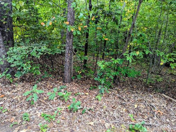 1000 Martin Lane, Boydton, VA 23917